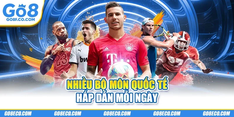 Nhiều bộ môn quốc tế hấp dẫn mỗi ngày