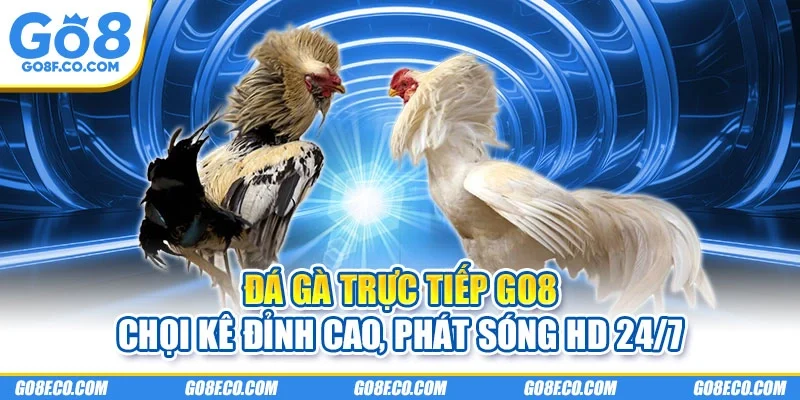 đá gà trực tiếp GO8